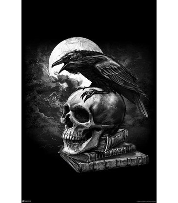 Alchemy - Poe's Raven Poster 24"x36"