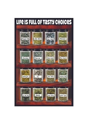 Life Is Full of Tasty Choices Poster 24"x36"