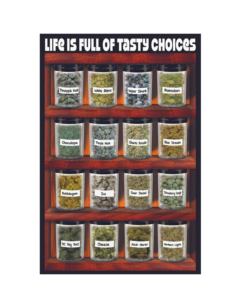 Life Is Full of Tasty Choices Poster 24"x36"