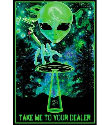 Take Me to Your Dealer Blacklight Poster 23"x35"