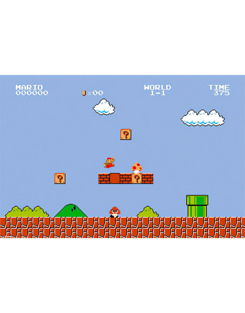 Super Mario Bros - Level 1-1 Poster 36" x 24"