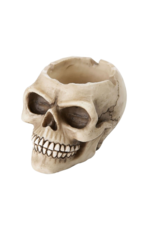 Skull Ashtray 3"D