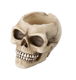 Skull Ashtray 3"D