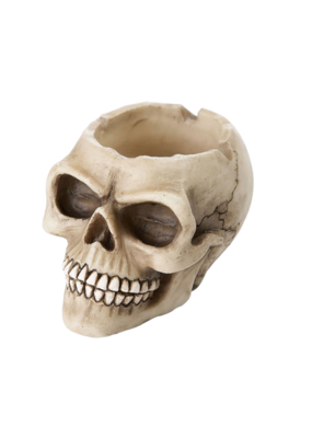 Skull Ashtray 3"D