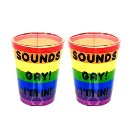 Sounds Gay, I'm In! Shot Glass Set