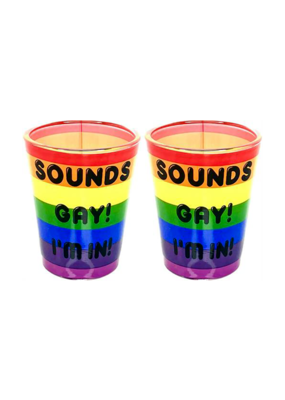 Sounds Gay, I'm In! Shot Glass Set