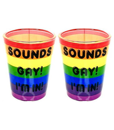Sounds Gay, I'm In! Shot Glass Set