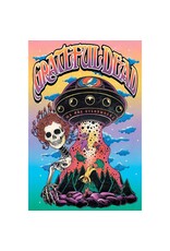 Grateful Dead - Bertha UFO Poster 24" x 36"