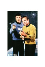 Star Trek - Kirk and Spock Poster 24" x 36"
