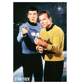Star Trek - Kirk and Spock Poster 24" x 36"