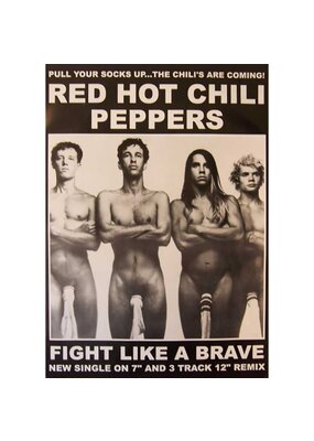 Red Hot Chili Peppers - Sox on Cox Poster 24"x36"