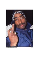 Tupac - Middle Finger Poster 24"x36"