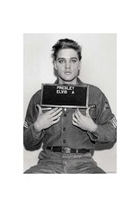 Elvis - Enlistment Photo Poster 24" x 36"