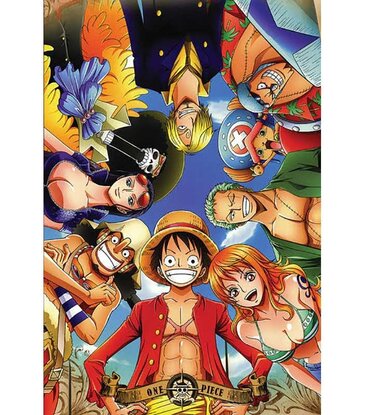 One Piece - Characters In A Circle Poster 24"x36"