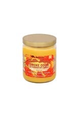 Smoke Odor Fall'n Leaves Candle