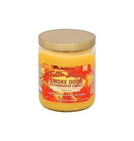 Smoke Odor Fall'n Leaves Candle