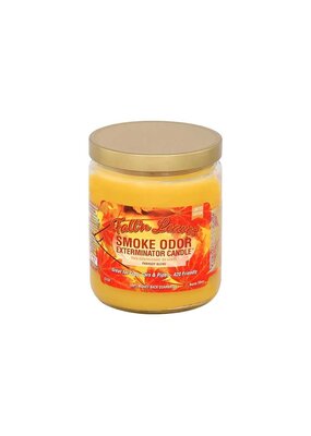 Smoke Odor Fall'n Leaves Candle