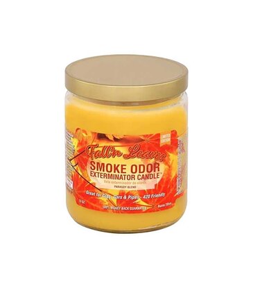 Smoke Odor Smoke Odor Fall'n Leaves Candle