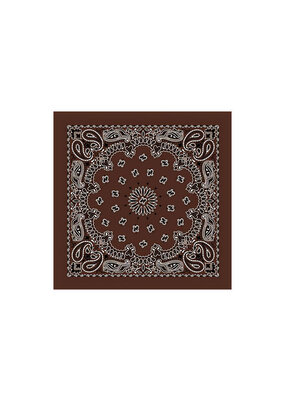 Paisley Cocoa Bandana