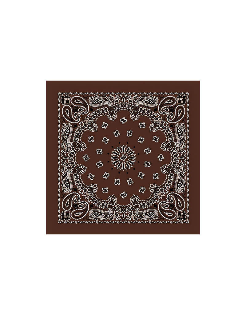 Paisley Cocoa Bandana