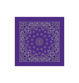 Paisley Purple Bandana