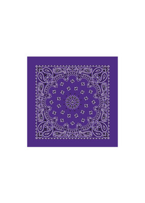 Paisley Purple Bandana