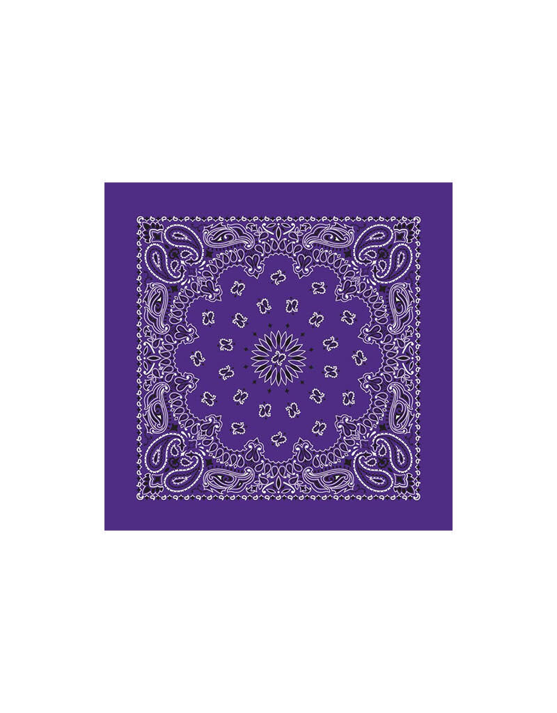 Paisley Purple Bandana
