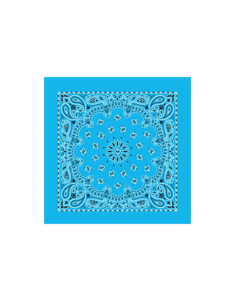 Paisley Light Blue Bandana