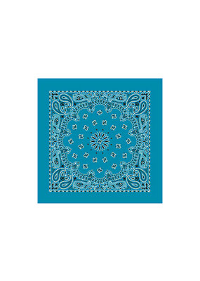 Paisley Turquoise Bandana
