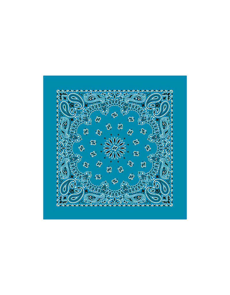 Paisley Turquoise Bandana
