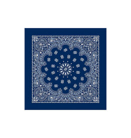 Paisley Navy Bandana