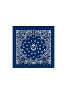 Paisley Navy Bandana