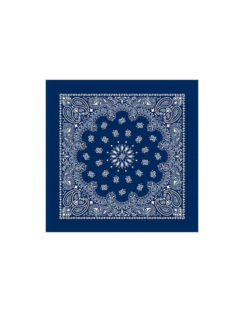 Paisley Navy Bandana