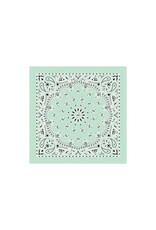 Paisley Mint Bandana