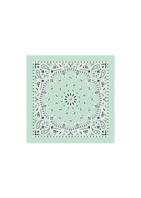 Paisley Mint Bandana