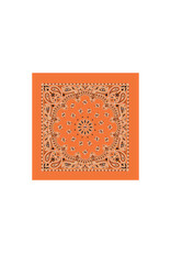 Paisley Orange Bandana