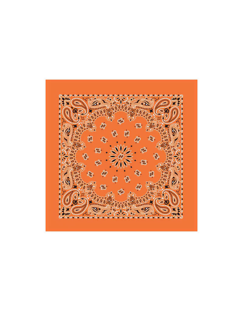 Paisley Orange Bandana