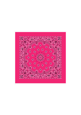 Paisley Hot Pink Bandana