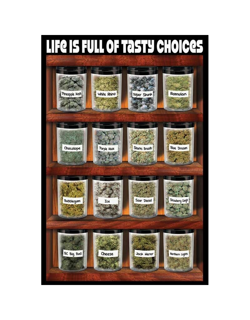 Life Is Full of Tasty Choices Poster 24"x36"