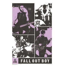 Fall Out Boy - Panel Poster 24"x36"