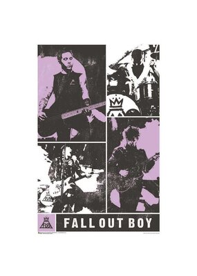 Fall Out Boy - Panel Poster 24"x36"