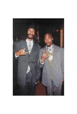 Tupac and Snoop - Suits Poster 24"x36"