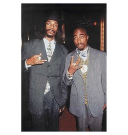 Tupac and Snoop - Suits Poster 24"x36"