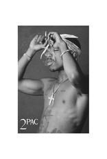 Tupac - Smoke Poster - 24"x36"
