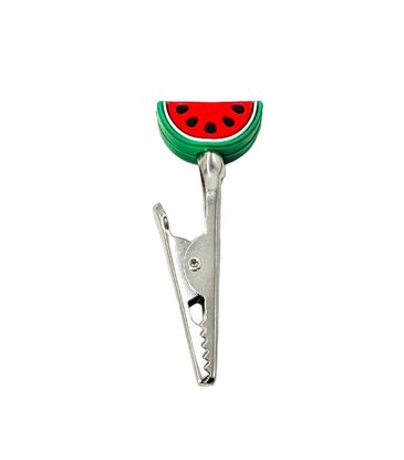 Watermelon Alligator Clip