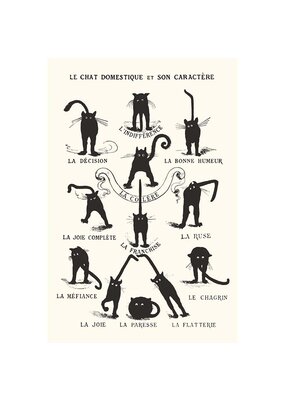 Le Chat Domestique - Black Cats Poster 24"x36"