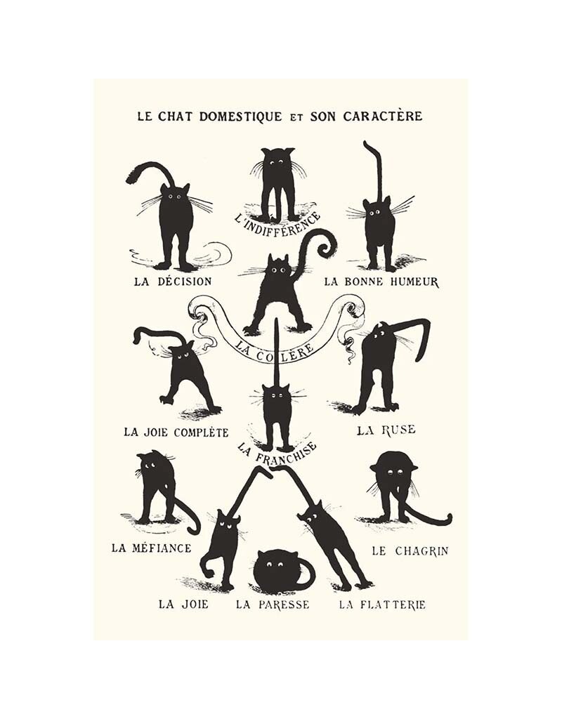 Le Chat Domestique - Black Cats Poster 24"x36"