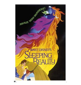 Sleeping Beauty - 1959 Classic Poster 24"x36"