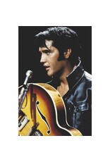 Elvis - King of Rock and Roll Poster 24"x36"