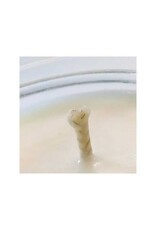 NOLA and Neighbors - Asshole Repellent Candle 8oz